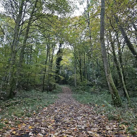 Gemuetliche Im Westerwald - 