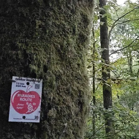 Gemütliche Im Westerwald - Grau *