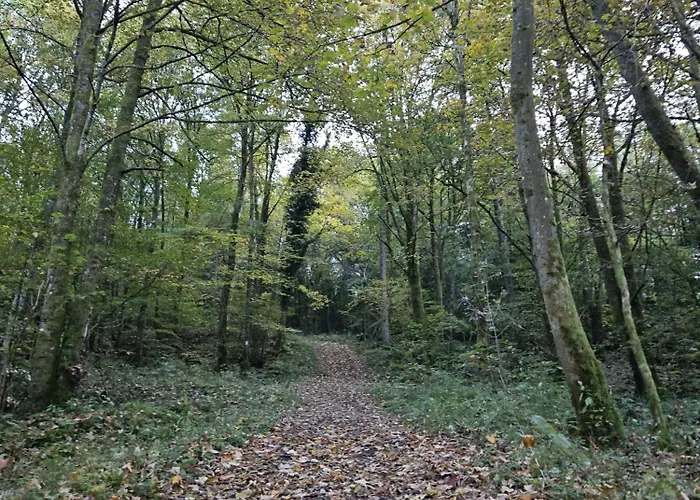 Gemuetliche Im Westerwald - 